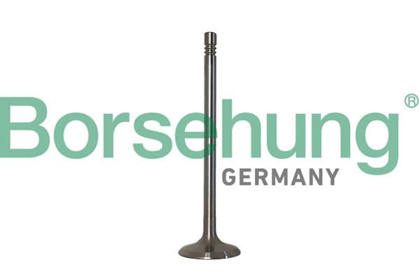 b10347 Borsehung Впускной клапан