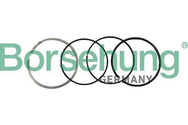 b10370 Borsehung Комплект поршневих кілець