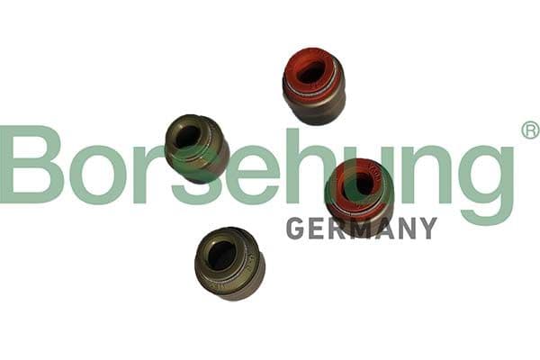 b12534 Borsehung Сальник клапана