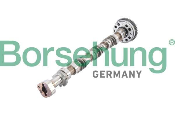 b12380 Borsehung Розподільний вал