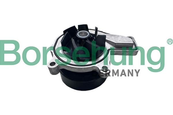 b11219 Borsehung Помпа
