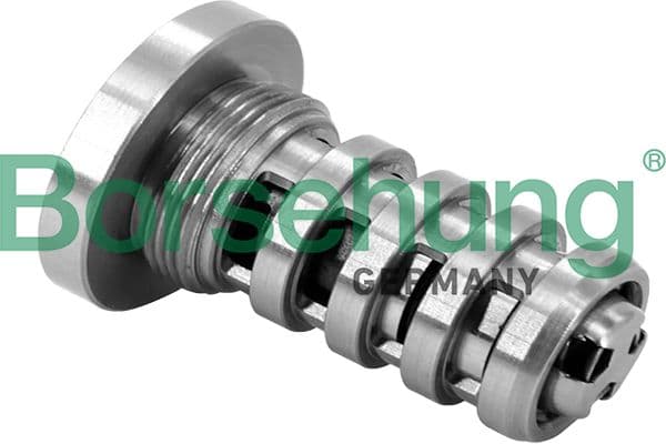 b12694 Borsehung Центральний клапан шестерні розподільного вала