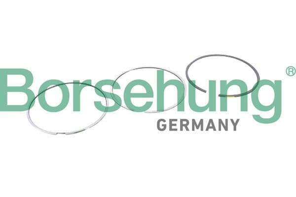 b10364 Borsehung Комплект поршневих кілець