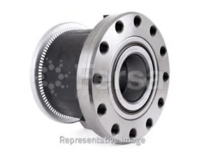 F 300003 Fersa Підшипник ступиці колеса