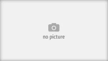 dbb561s Bremsi Тормозной диск