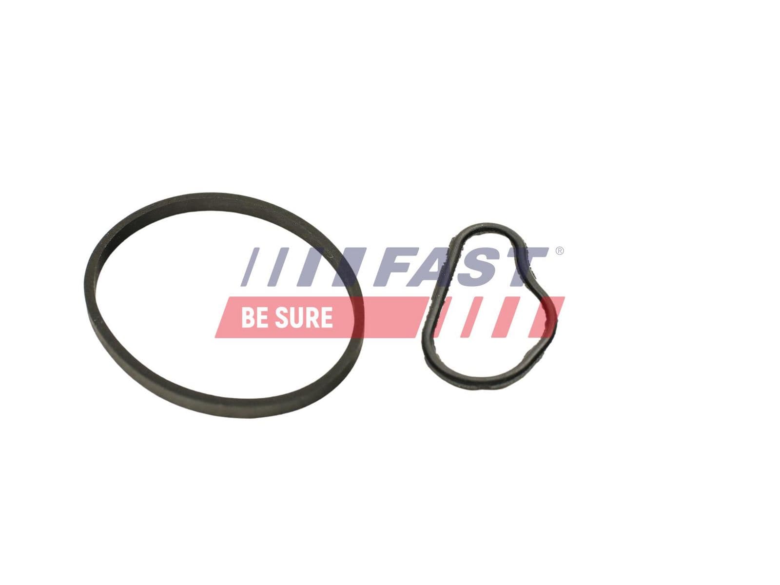 ft48943 Fast Прокладка вакуумного насоса тормозной системи