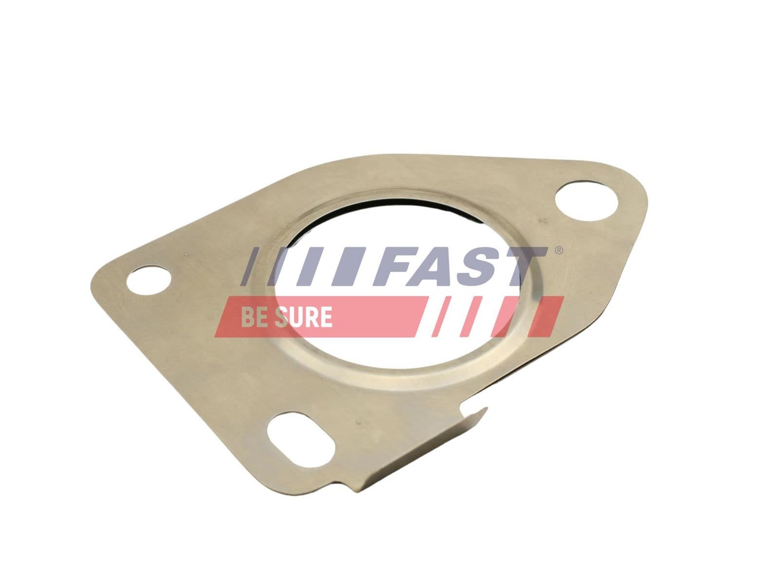 ft48812 Fast Прокладка турбины