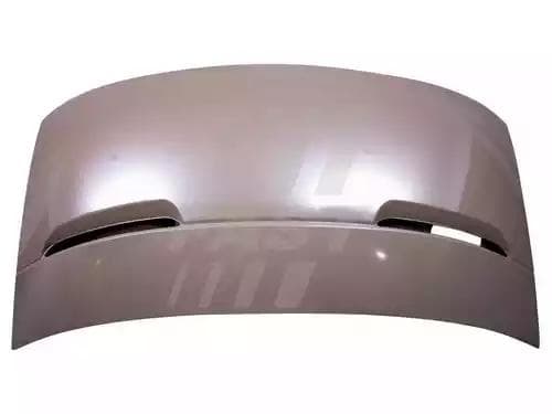 ft89118 Fast Капот для Iveco Daily III