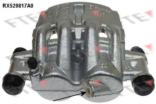 RX529817A0 FTE Гальмівний супорт