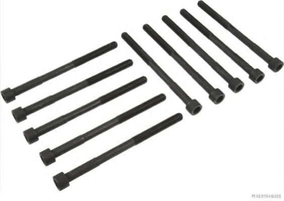 J1282009 Herth+Buss Болт ГБЦ