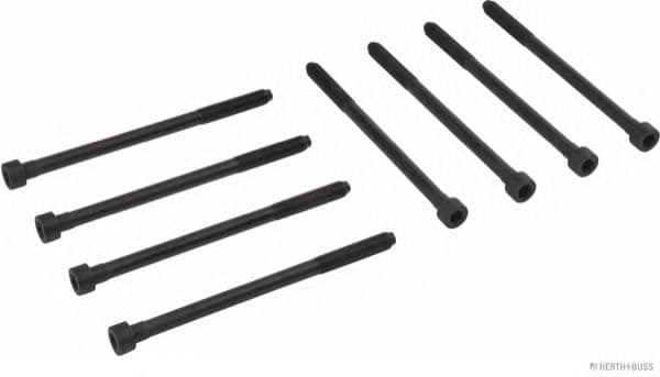 J1285006 Herth+Buss Болт ГБЦ