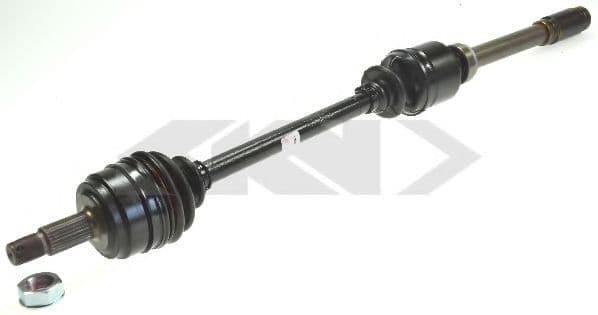 305098 Löbro Полуось