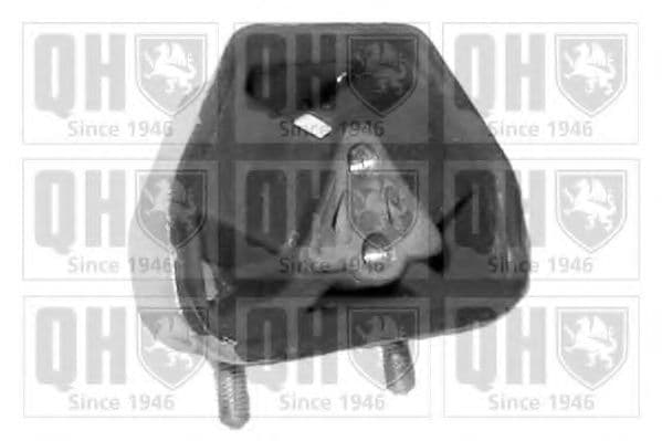 EM1597 Quinton Hazell Подушка двигуна для Opel Ascona