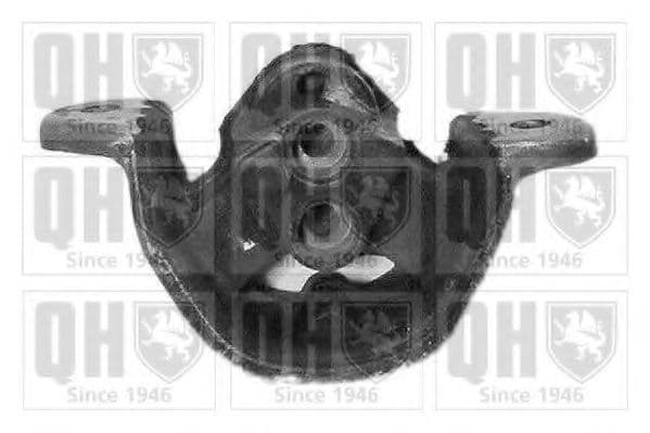 EM1875 Quinton Hazell Подушка двигуна