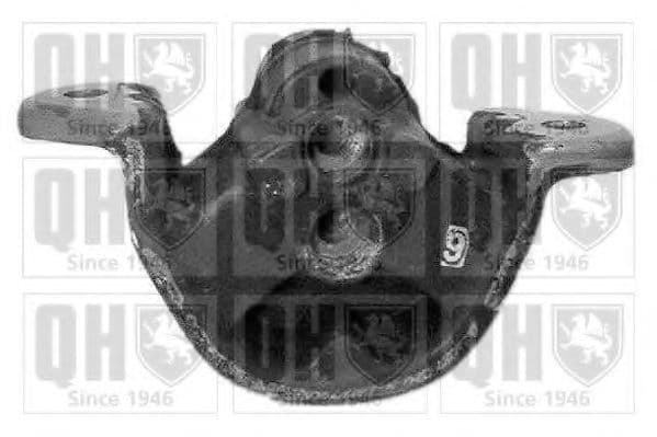 EM1901 Quinton Hazell Подушка двигуна