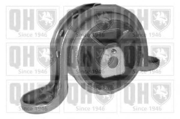 EM1920 Quinton Hazell Подушка двигуна