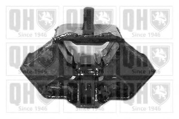 EM2490 Quinton Hazell Подушка двигуна
