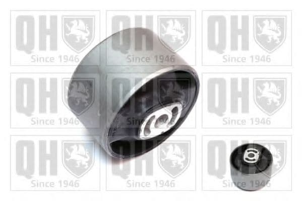 EM2587 Quinton Hazell Подушка двигателя