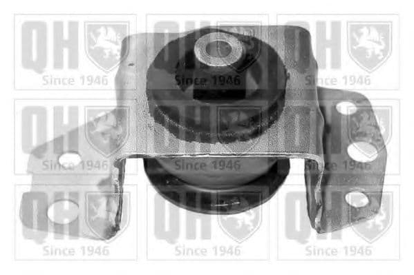 EM3099 Quinton Hazell Подушка двигуна