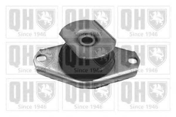 EM3129 Quinton Hazell Подушка двигуна