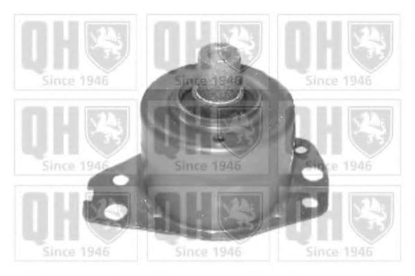 EM3149 Quinton Hazell Подушка двигуна