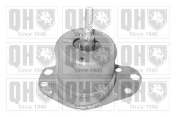 EM3162 Quinton Hazell Подушка двигуна для Fiat Punto