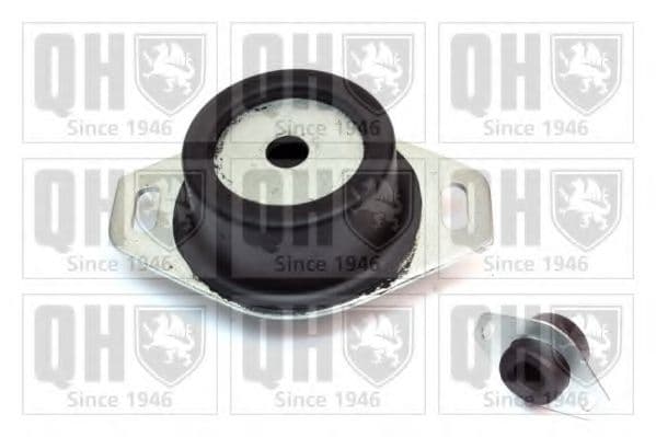 EM4145 Quinton Hazell Подушка двигуна