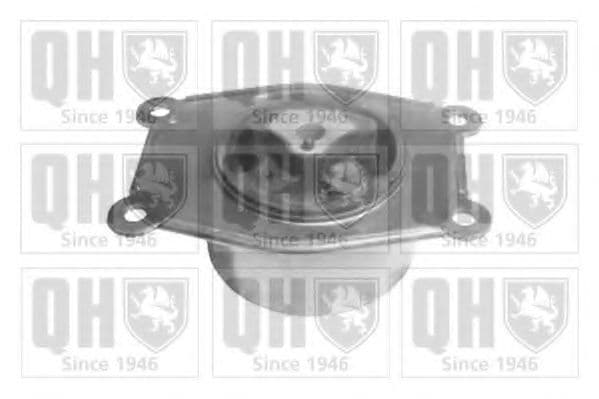 EM4182 Quinton Hazell Подушка двигуна