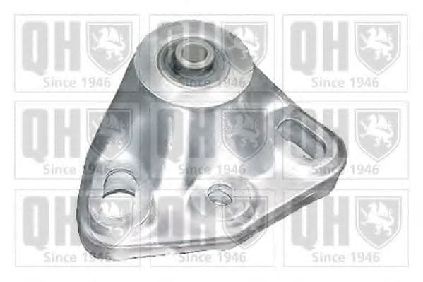 EM4276 Quinton Hazell Подушка двигуна