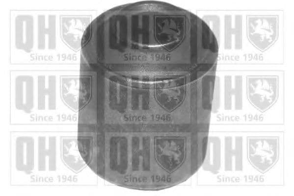 EMS8091 Quinton Hazell Сайлентблок важеля