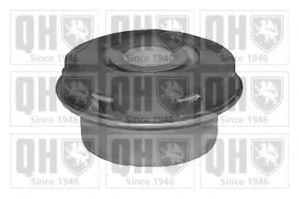 EMS8273 Quinton Hazell Сайлентблок важеля