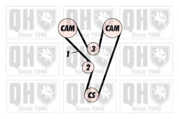 QTB534 Quinton Hazell Ремінь ГРМ