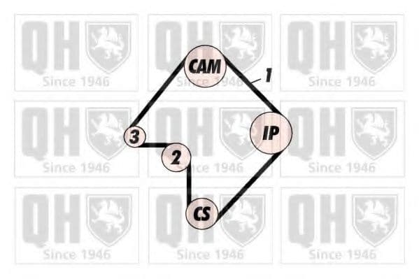 QTB256 Quinton Hazell Ремень ГРМ