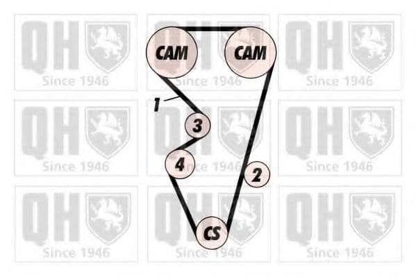 QTB431 Quinton Hazell Ремінь ГРМ