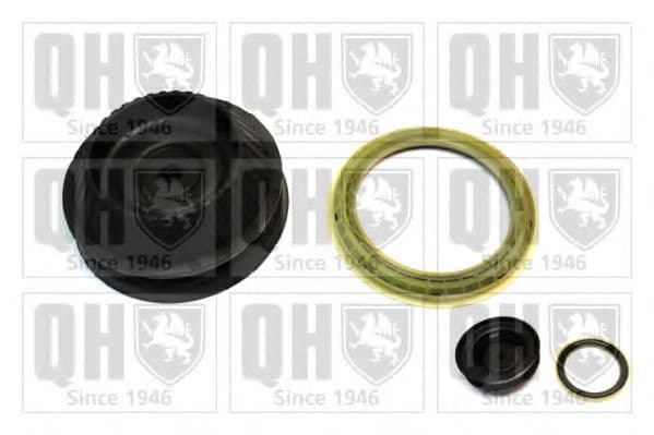 EMA6024 Quinton Hazell Комплект (опора + подшипник)