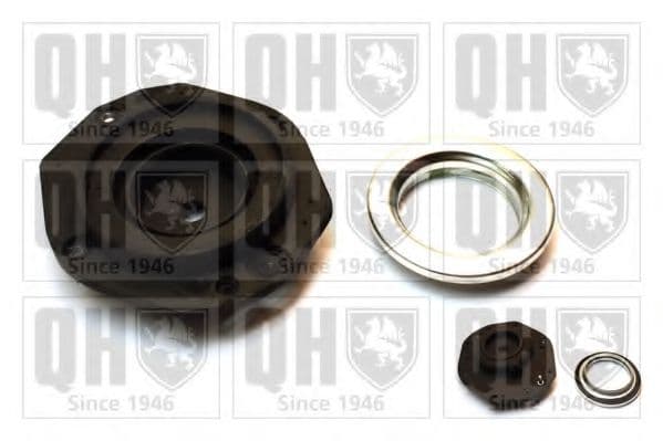 EMA6020 Quinton Hazell Комплект (опора + підшипник)