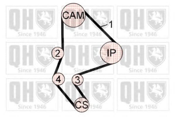 QBK586 Quinton Hazell Комплект ременя ГРМ