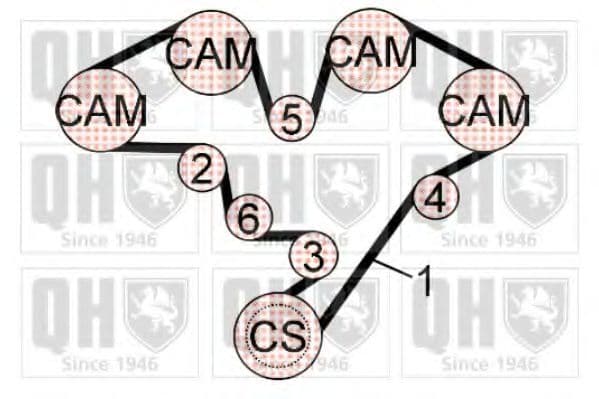 QBK591 Quinton Hazell Комплект ременя ГРМ