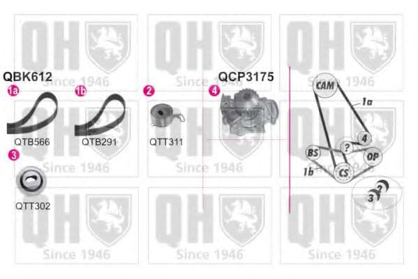 QBPK6120 Quinton Hazell Комплект ремня ГРМ + помпа
