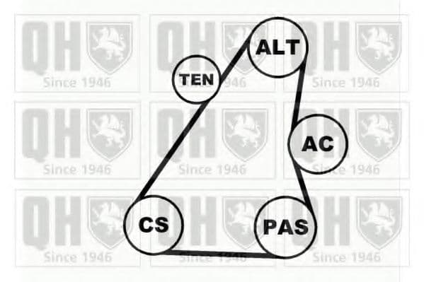 QDK35 Quinton Hazell Комплект поліклинового ременя