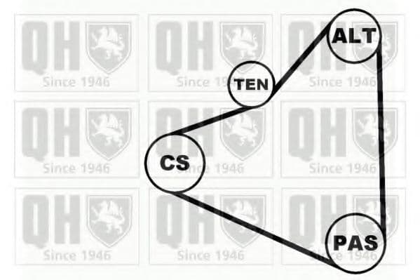 QDK40 Quinton Hazell Комплект поліклинового ременя