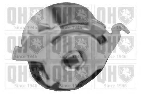 QTT1070 Quinton Hazell Натяжний ролик ременя ГРМ