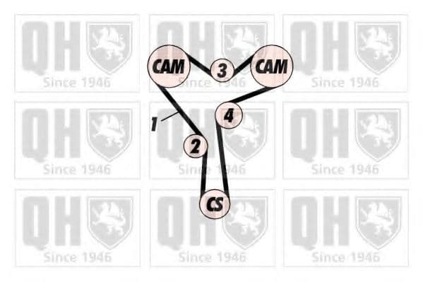 QTB597 Quinton Hazell Ремень ГРМ