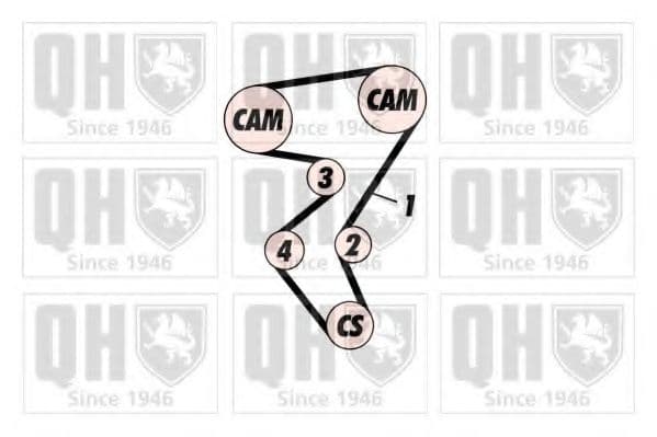 QTB242 Quinton Hazell Ремінь ГРМ