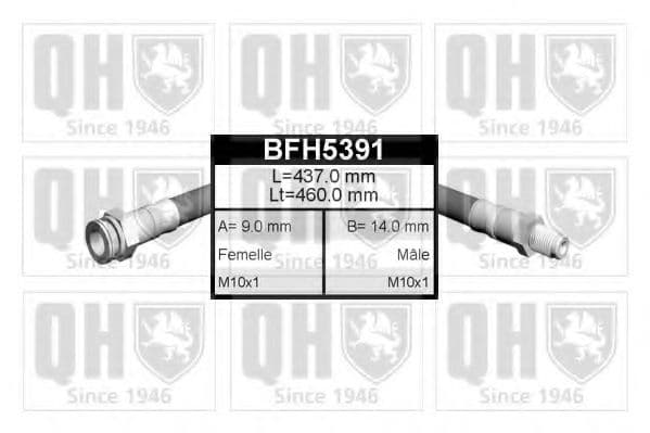 BFH5391 Quinton Hazell Гальмівний шланг