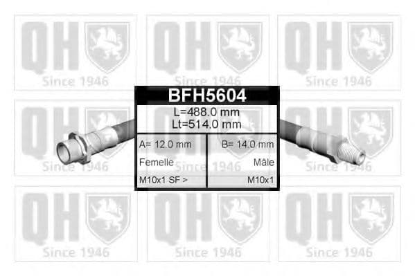BFH5604 Quinton Hazell Гальмівний шланг для BMW X5
