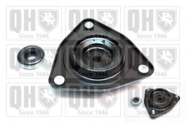 EMA6000 Quinton Hazell Комплект (опора + підшипник) для Ford Escort