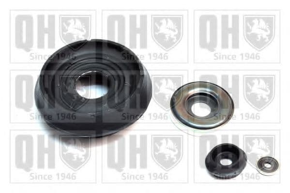 EMA3195 Quinton Hazell Комплект (опора + підшипник) для Renault Clio