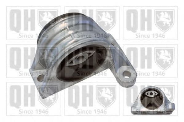 EM4365 Quinton Hazell Подушка двигуна