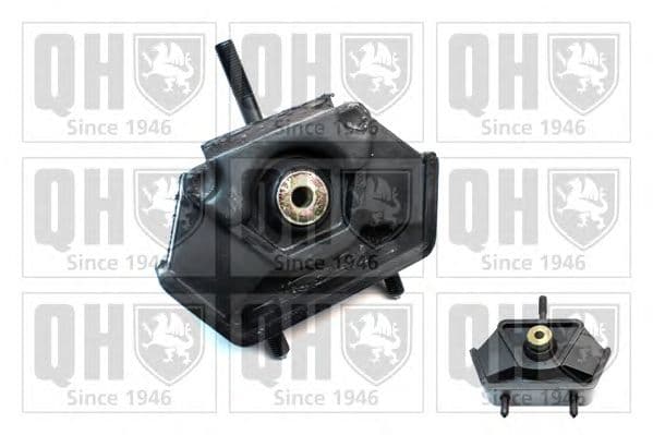 EM4603 Quinton Hazell Подушка двигуна для Mercedes T1